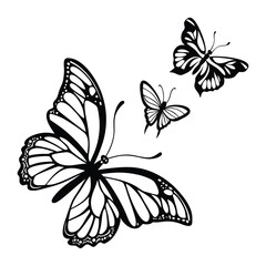 Butterfly silhouette vector, butterfly isolated on white butterflies silhouettes