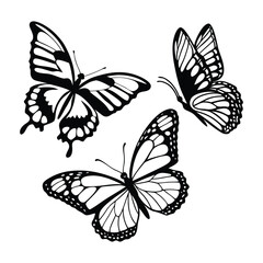 Butterfly silhouette vector, butterfly isolated on white butterflies silhouettes
