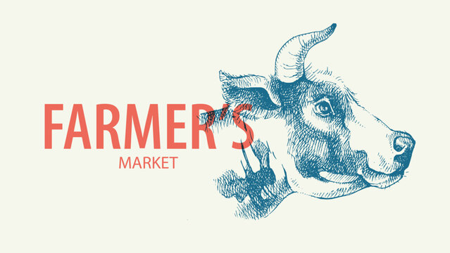 Hand drawn farm vector illustration of sketch cow portrait. Vintage retro banner. Menu design