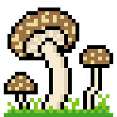 Fototapeta premium Mushrooms in pixel art style