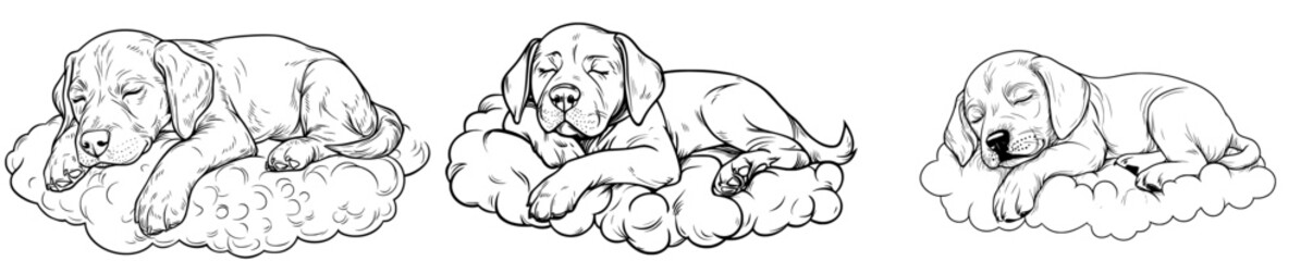 Illustrator of modern times designing charming cartoon of a dog asleep on a clean white background