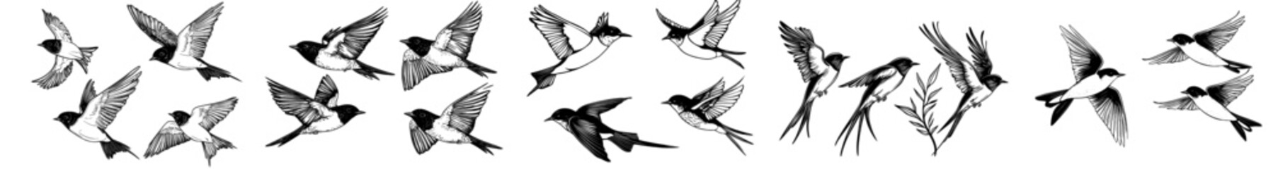 black and white background