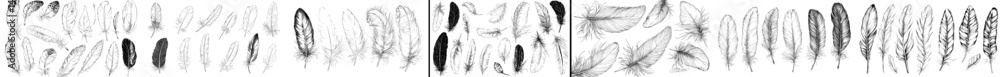 Poster a realistic 3d depiction of a fluffy bird plume, showcasing white feathers from various angles, is u