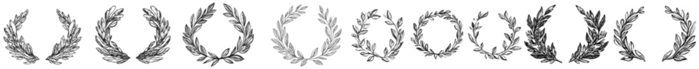 Circular branches form a botanical wreath featuring laurel leaves and olive branches, often used in Greek weddings, crests, and logos as a heraldic emblem or modern symbol