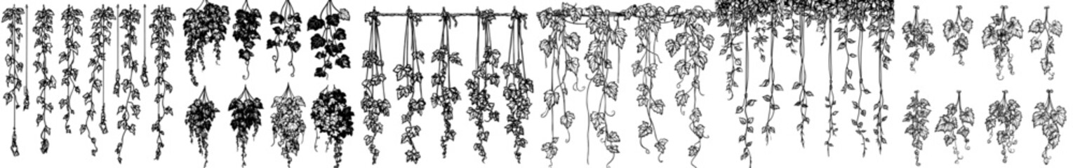 black and white background