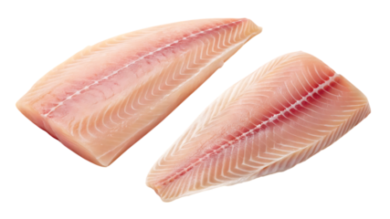 Fresh tilapia fillets isolated on transparent PNG background