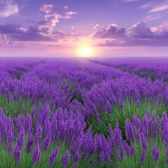 Obraz premium Purple Lavender Field at Sunset, Soft Light, Scenic Landscape