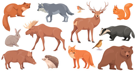Woodland wild animal. Forest realistic animals fauna set, bear fox deer rabbit wildlife nature isolated characters zoo wood land inhabitants, cartoon neat vector illustration © ssstocker