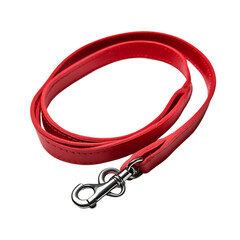 Red Leash With Metal Hook on White Background. On a White or Clear Surface [Transparent Background PNG]
