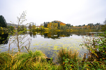 View of the Schöntalweiher and the surrounding nature near Ludwigswinkel.
