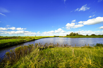 Landscape at the reservoir near Husum. Nature with a body of water and meadows.

