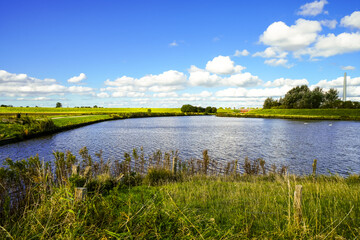 Landscape at the reservoir near Husum. Nature with a body of water and meadows.
