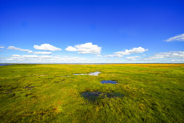 Landscape at the reservoir near Wasserkoog. Nature with a body of water and meadows.
