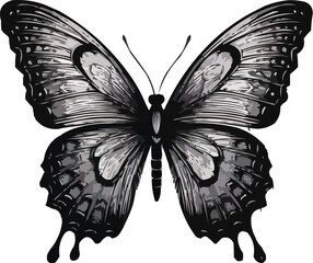 Butterfly Vector Silhouette