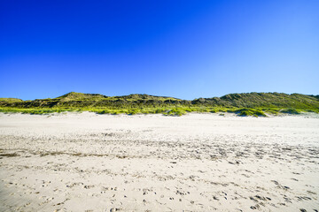 Landscape on the beach between Wenningstedt and Kampen on the Frisian island of Sylt. View of the dunes and the surrounding nature.
