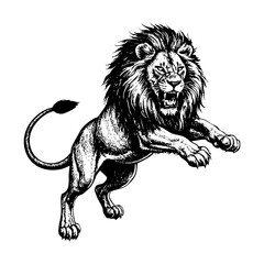 Obraz premium Lion sketch engraving black and white outline. Scratch board imitation. illustrated in vintage line art style on a white background.