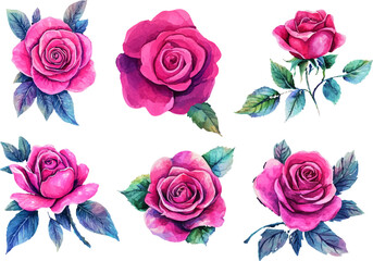 Fototapeta premium Watercolor Pink Rose Flower Illustration – Hand-Painted Floral Art