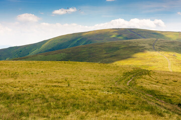 Fototapeta premium green mountain landscape with trail for hiking. vacation season. path through nature hill to the top for outdoor travel and beautiful view. alpine tourism scenery in summer with sky and cloud
