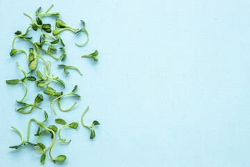 Different kind of microgreen on white background. Mix of micro green shoots. Healthy food
