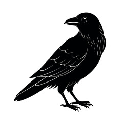 raven stock image dark bird silhouette