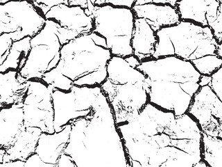 black and white texture of a horse