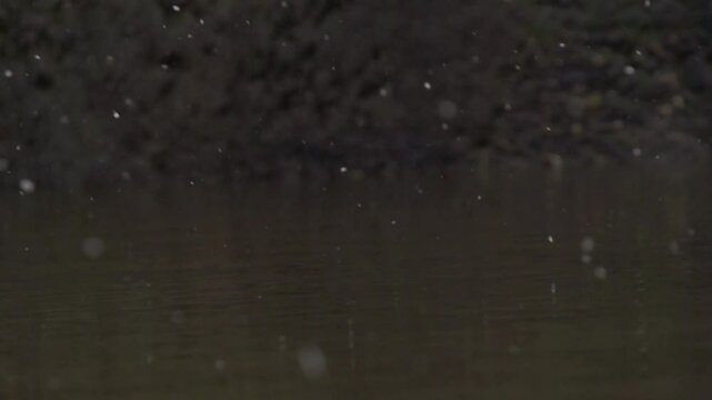 Flocons tombant sur de l'eau