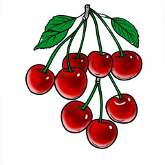 cherries vector illustration
