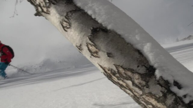 Ski Freeride poudreuse