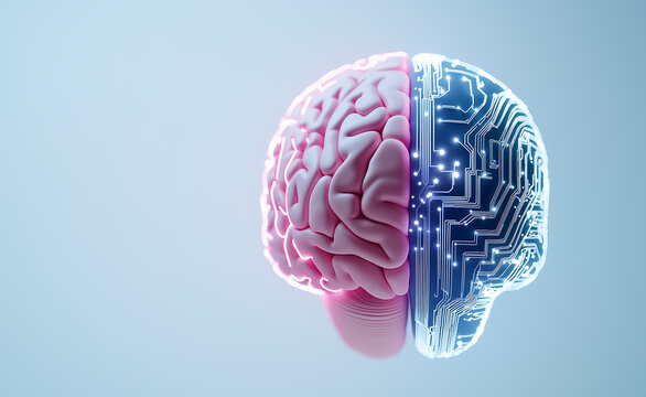 Half human brain and half digital circuit brain symbolizing the fusion of biology and artificial intelligence.
