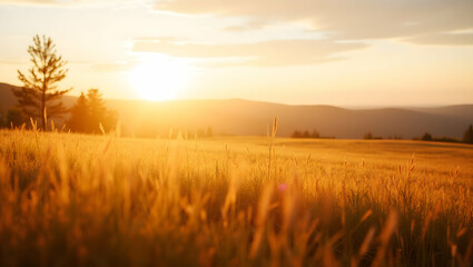 Obraz premium Serene Sunrise, A Golden Meadow Bathed in the Warm Light of Dawn, with Distant Mountains and Trees Silhouetted Against a Soft, Hazy Sky landscape