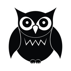 owl on white background