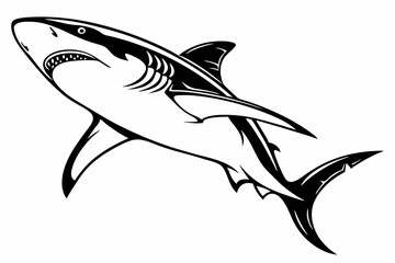 Fototapeta premium bull shark sihouette black vector