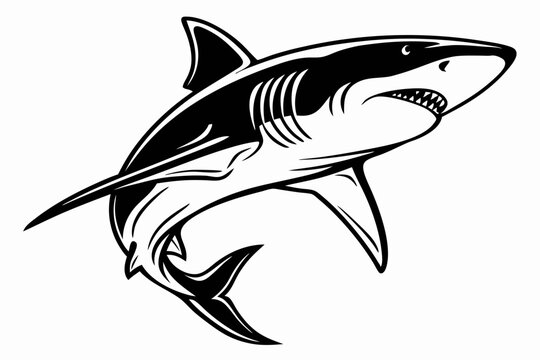 bull shark sihouette black vector