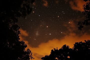 Naklejka premium Night sky, orange hues, through the trees, a celestial view.