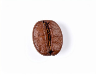 Single plump coffee bean with vibrant brown hue stands out against stark white background, showcasing its rich texture