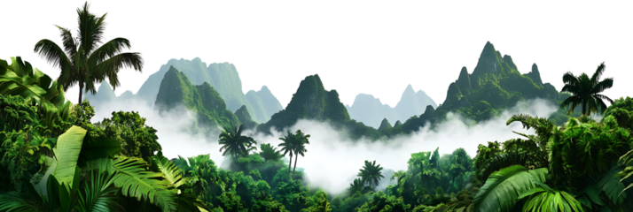 Lush tropical rainforest landscape with foggy mountains on transparent background