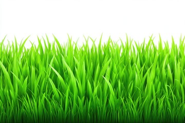 Fototapeta premium Lush Green Grass Field A Symbol of Nature's Vitality and Verdant Beauty