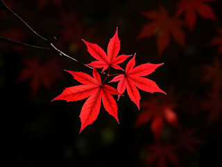 Striking high-contrast photograph capturing the intense red hues of maple leaves against a diffused background, evoking serenity and autumn's visual allure