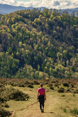 Fototapeta premium Beautiful view from 