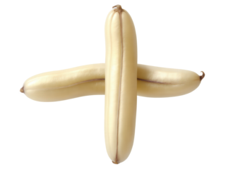 Velvet Beans (Mucuna pruriens) Small, shiny velvet beans with a mild nutty flavor boiled or roasted as a snack