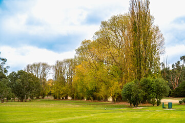 Autumn morning in the park