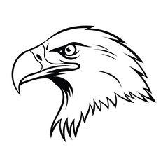 Eagle Head Illustration for Logos and Designs