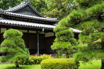Traditional Japanese Garden in Tokyo, Japan