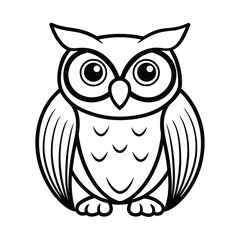 owl on white background