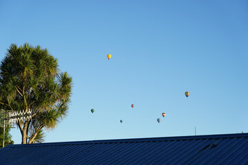 Hot Air Balloons Over Hamilton, New Zealand
