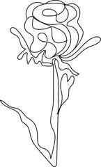 Elegant Line Art Floral Design Delicate Flowers and Leaves for Decoration