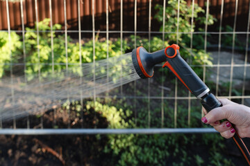 Close-up of a person watering garden plants with a spray nozzle attached to a garden hose. Concept...
