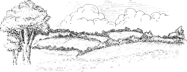 Rural nature landscape with hills grass field and trees in monochrome sketch style. Hand drawn vintage panoramic vector illustration.