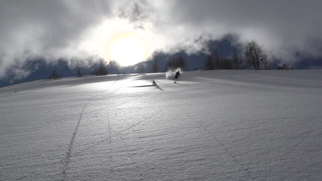 Ski freeride grosse poudreuse