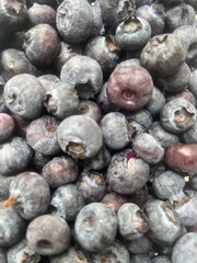 Fresh ripe blueberries in close-up view, rich in antioxidants and vitamins, perfect for healthy eating, desserts, and nutritious recipes